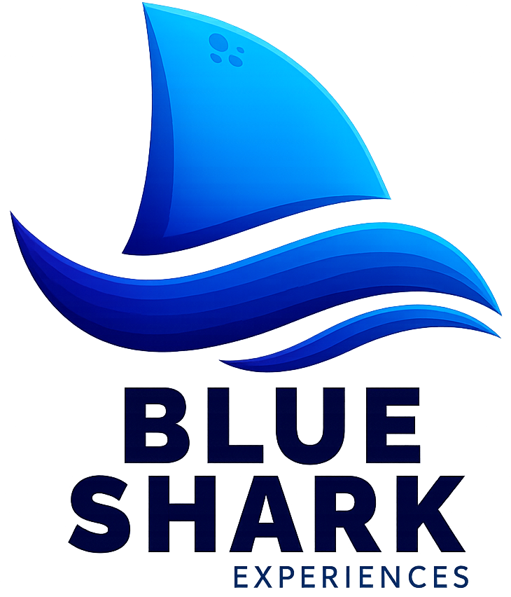 BLUESHARK EXPERIENCE